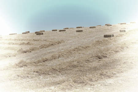 Landscape of Sicily with Many Hay Briquettes, Retro Image Filtered Style