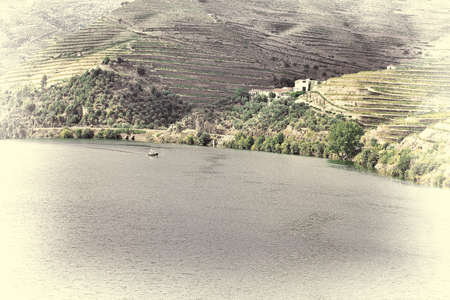 Vineyards in the Valley of the River Douro, Portugal, Retro Image Filtered Style