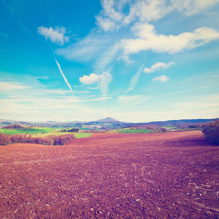 Green Sloping Meadows of Tuscanyの写真素材