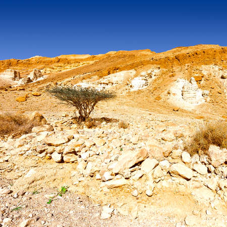 Rocky Hills of the Negev Desert in Israelの写真素材