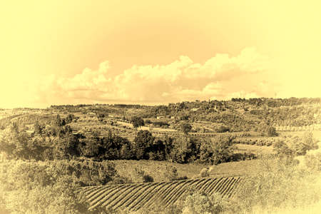 Vineyard with Ripe Grapes in the Autumn on the Background of Italian Village, Vintage Style Toned...