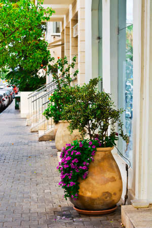 Large Flower Pots with Flowers and Trees as a Decoration on a Shopping Street in Tel Aviv. Tel Aviv Street is Reflected in the Window of a Boutiqueの写真素材