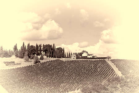 Vineyard with Ripe Grapes in the Autumn on the Background of Small Italian Village, Stylized Photoのeditorial素材