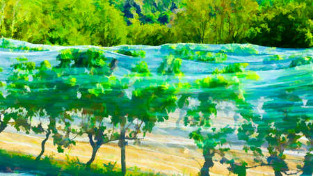 Small Vineyard Covered with Netting against the Sun in France, Stylized Photoの写真素材