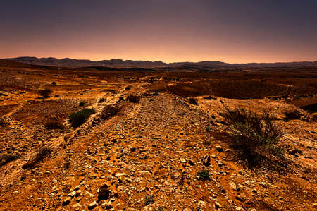 rocky hills of the negev desert in israel at sunset wind carved rock formations in the southern israel desertの写真素材