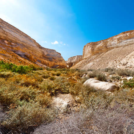 Rocky hills of the Negev Desert in Israel. Breathtaking landscape of the desert rock formations in the Southern Israel Desert.の写真素材