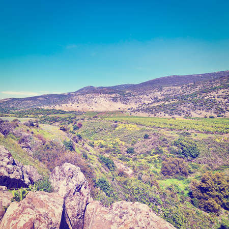 Golan Heights in the Spring,  Effectの写真素材
