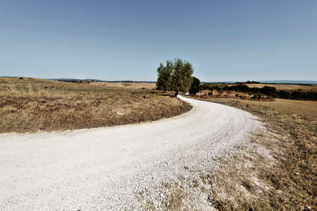 Stubble fields on the hills of Tuscany. Tuscany landscape after harvest. Winding dirt road between plowed fields in Italy. Vintage style toned pictureの写真素材