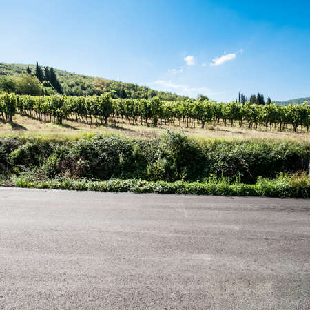 Tuscany landscape with asphalt road and vineyards. Road between vineyards in Italyの写真素材