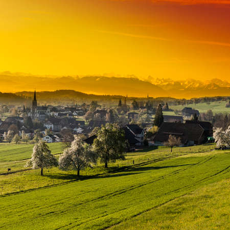 Pasture on the background of snow-capped Alps in Switzerland at sunset. Swiss small town at the foot of mountains surrounded by meadows.の写真素材