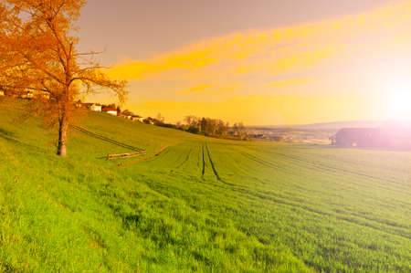 Pasture on the background of Alps in Switzerland at sunrise. Swiss small village at the foot of mountains surrounded by meadows in the morning mistの写真素材