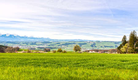 Pasture on the background of snow-capped Alps in Switzerland. Swiss small town at the foot of mountains surrounded by meadows.の写真素材