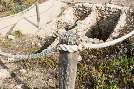 Ruins of the crusader fortress of the city Arsour fenced with a rope. Dunes on the shore of the Mediterranean sea in Israel. Spring flowers in the Israeli Apollonia national park. の写真素材
