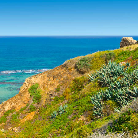 Ruins of the crusader fortress of the city Arsour in Israel. Dunes on the shore of the Mediterranean sea. Spring flowers in the Israeli Apollonia national park. の写真素材
