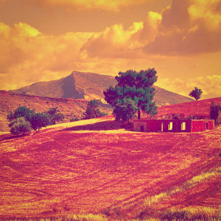 wheat fields on the hills of sicily at sunset,の写真素材