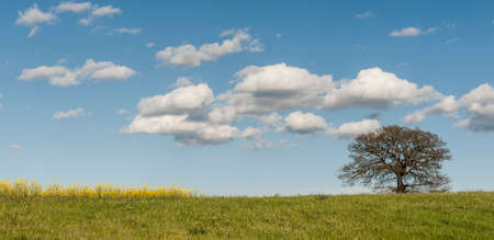 Italian landscape with meadows early in the spring. Agriculture in Italy, fields, pastures and...
