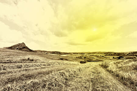 Mown Wheat Field on the Hill in Sicily, Retro Image Filtered Styleの写真素材