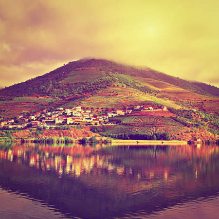 Vineyards in the Valley of the River Douro at Sunset