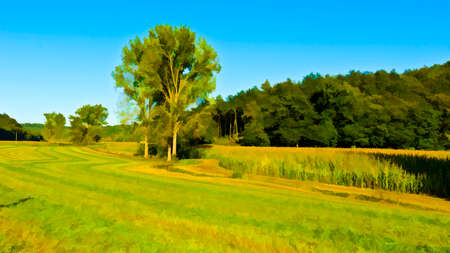 Plantation of Corn After Harvest in France, Stylized Photoの写真素材