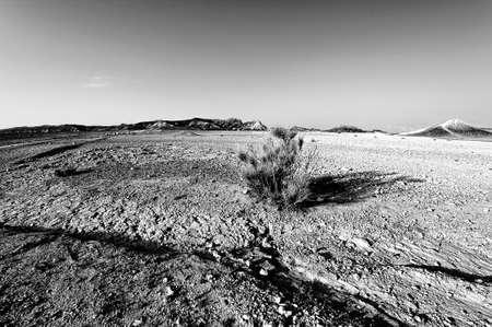Rocky hills of the Negev Desert in Israel. Wind carved rock formations in the Southern Israel Desert. Black and white pictureの写真素材
