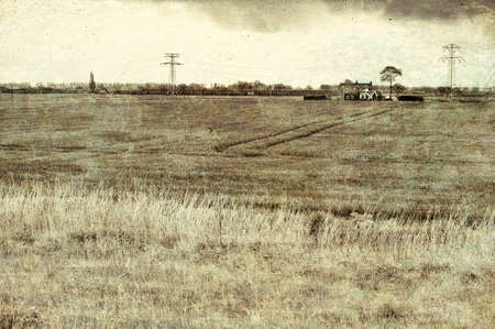 Agriculture on Land Reclaimed from the See in Netherlands. Tidal marsh and meadows formed by dams in...