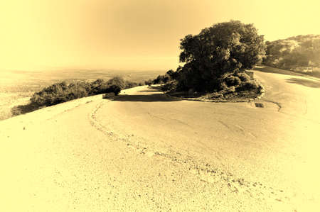 Asphalt Road Leading to the Mount Tabor in Israel, Stylized Photoの写真素材