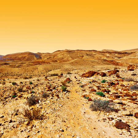 Rocky Hills of the Negev Desert in Israel at Sunsetの写真素材