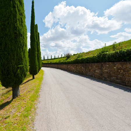 Asphalt road between Italian wine farms surrounded with vineyards. Cypress alley on the background of autumn vineyards in Tuscanyの写真素材