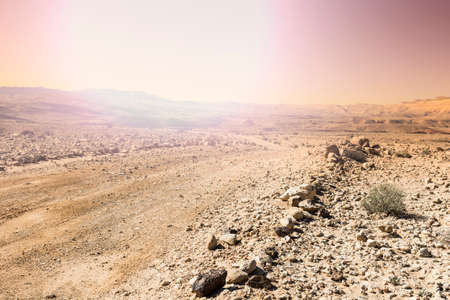 Rocky hills of the Negev Desert in Israel at sunrise. Breathtaking landscape of the desert rock formations in the Southern Israel Desert.の写真素材