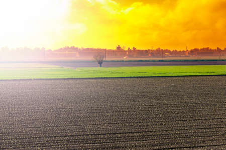 Morning mist on the farmland in the Piedmont. Plowed fields in Italy at sunset.の写真素材