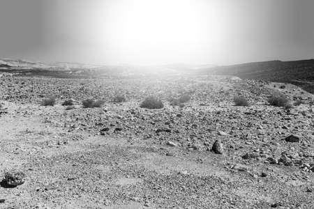 Rocky hills of the Negev Desert in Israel at sunrise. Breathtaking landscape of the desert rock formations in the Southern Israel Desert. Black and white pictureの写真素材