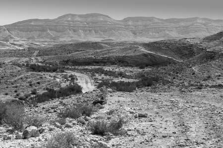 Rocky hills of the Negev Desert in Israel. Breathtaking landscape of the desert rock formations in the Southern Israel Desert. Black and white pictureの写真素材