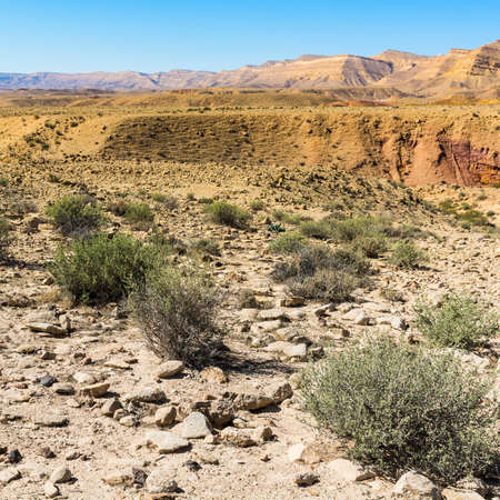 Rocky hills of the Negev Desert in Israel. Breathtaking landscape of the desert rock formations in...