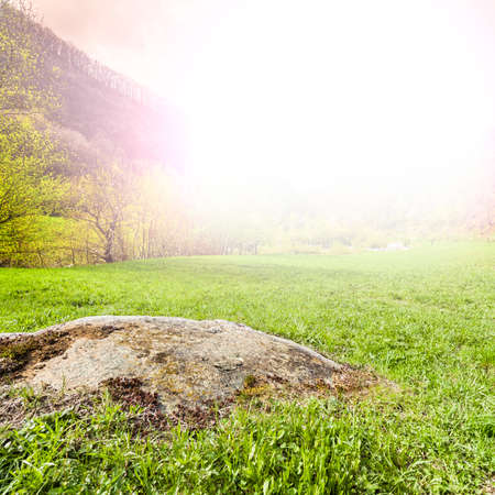 Morning mist in Italian Alps. View of the mountain forest valley at sunrise. Large rock in the landscape park in Italyの写真素材