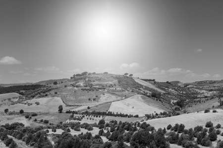 Sicilian landscape at sunrise, hills, fields, flowers, pasture and sunlight. Black and white pictureの写真素材