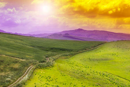 Sicilian landscape at sunrise, hills, fields, flowers, pasture and sunlightの写真素材