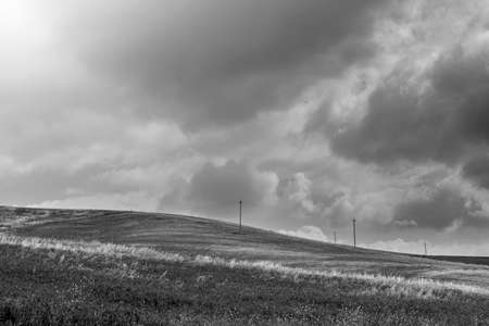 Flowering fields on the hills of Sicily at sunrise. Black and white picture