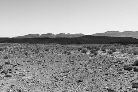 Rocky hills of the Negev Desert in Israel.  Dusty mountains interrupted by wadis  and deep craters. Black and white pictureの写真素材