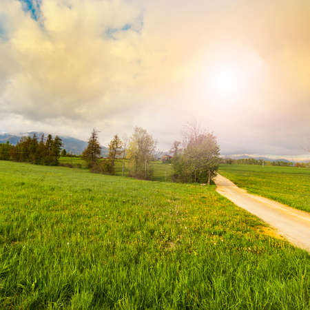 Dirt path in Piedmont on the background of snow capped Italian Alps. View of the mountain valley with  road at sunriseの写真素材