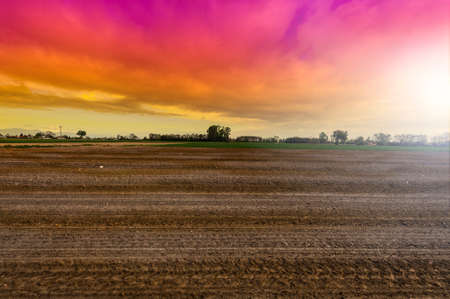 Morning mist on the farmland in the Piedmont. Plowed fields in Italy at sunset.の写真素材