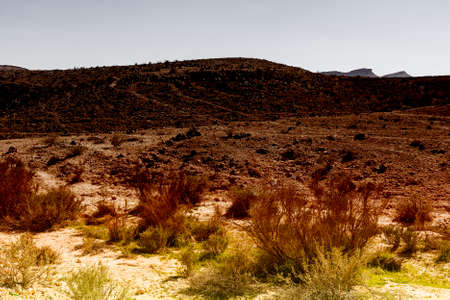 Rocky hills of the Negev Desert in Israel early in the morning. Breathtaking landscape at sunrise, desert rock formations, dusty mountains, wadis  and deep craters. の写真素材