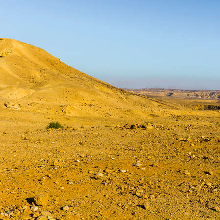 Rocky hills of the Negev Desert in Israel. Breathtaking landscape of the rock formations in the Southern Israel. Dusty mountains interrupted by wadis  and deep craters.の写真素材
