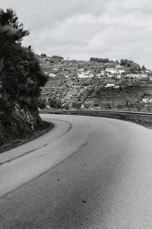 Winding asphalt road between vineyards of the River Douro region in Portugal. Viticulture in the Portuguese villages. Black and white photoの写真素材