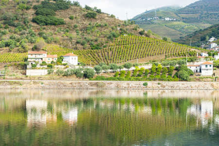 Vineyards of the River Douro region in Portugal. Sights of the Portuguese countryside