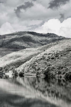 Travel in River Douro region in Portugal among vineyards and olive groves. Viticulture in the Portuguese villages. Black and white photo.の写真素材