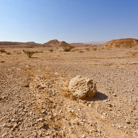 Melancholy and emptiness of the rocky hills of the Negev Desert in Israel. Breathtaking landscape and nature of the Middle East.の写真素材