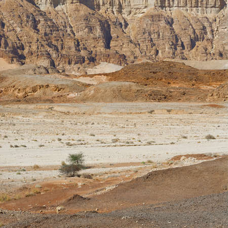 Infinite fantasy of the rocky hills of the Negev Desert in Israel. Breathtaking landscape and nature of the Middle East.の写真素材