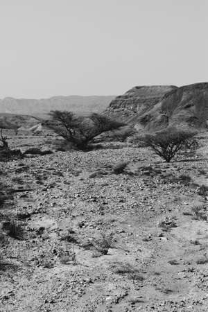 Loneliness and emptiness of the rocky hills of the Negev Desert in Israel. Breathtaking landscape and nature of the Middle East. Black and white photoの写真素材