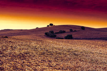 Autumn fields in Spain after harvesting at sunrise. Breathtaking landscape and nature of the Iberian Peninsulaの写真素材