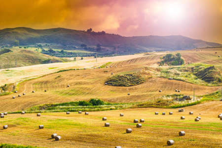 Wheat fields on the background of Sicilian hills at sunrise. Landscape with straw bales after...